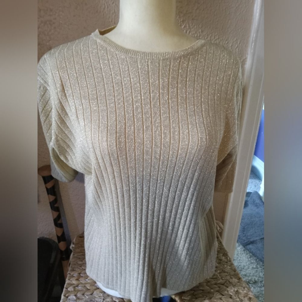 Corporate Sparkle.  Short sleeve blouse